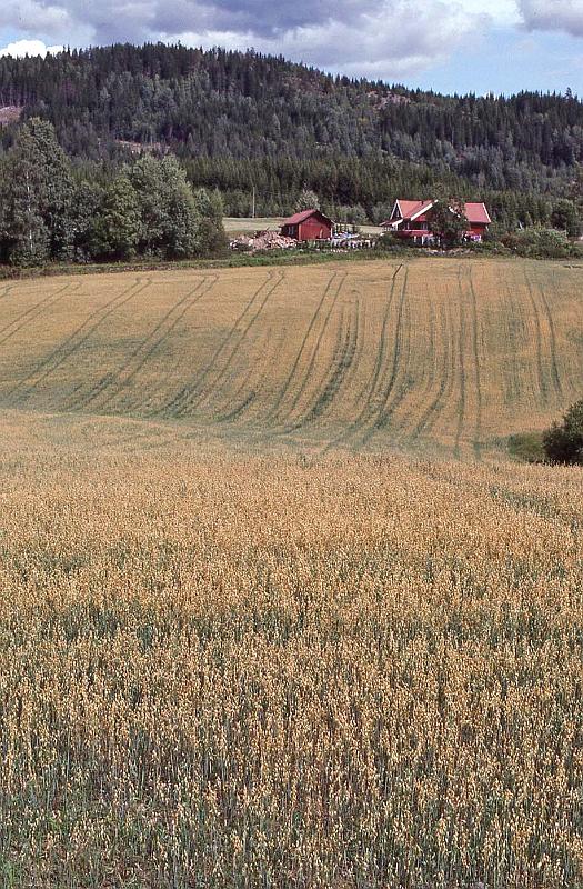 WT 3300 367-03 Norway.jpg